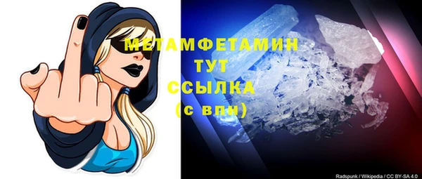 прущие грибы Беломорск