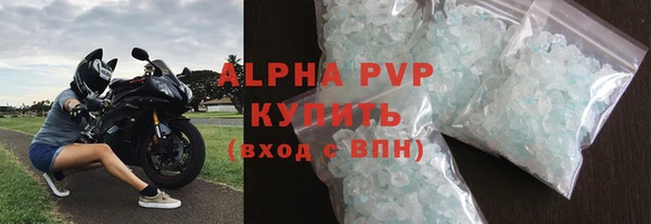 прущие грибы Беломорск