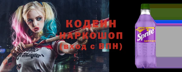 прущие грибы Беломорск