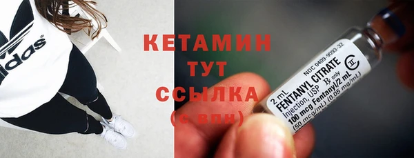 прущие грибы Беломорск