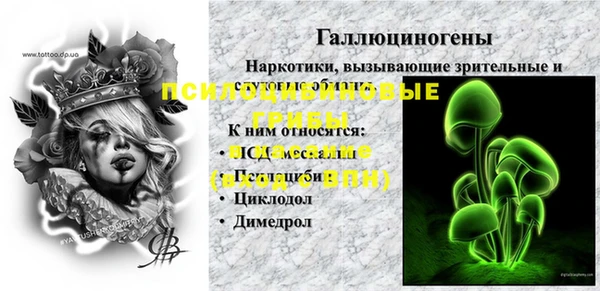прущие грибы Беломорск