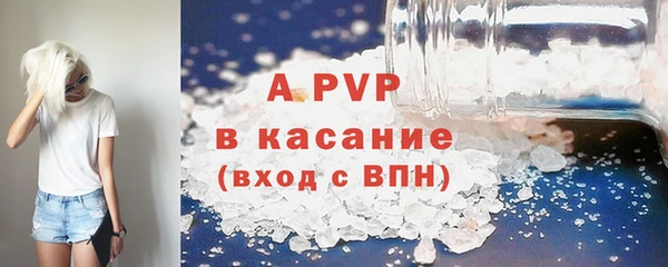 прущие грибы Беломорск